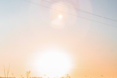 IMG_2745